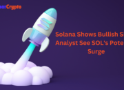 Solana Shows Bullish Signs: Analyst See SOL’s Potential Surge