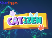 TON and Telegram Play a Crucial Role in Web3 Gaming: Interview with Catizen