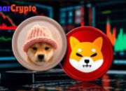 SHIB and WIF Among Worst-Performing Meme Coins